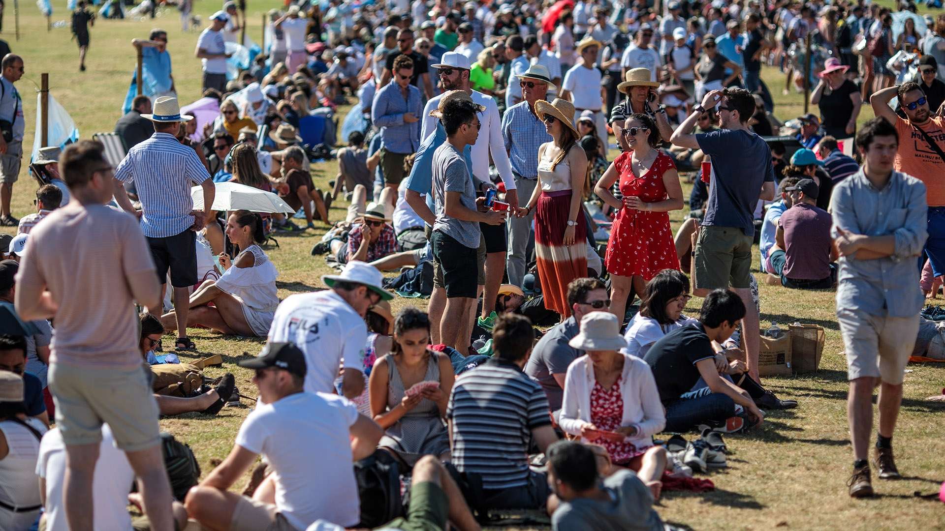 上海申花的 上海申花的