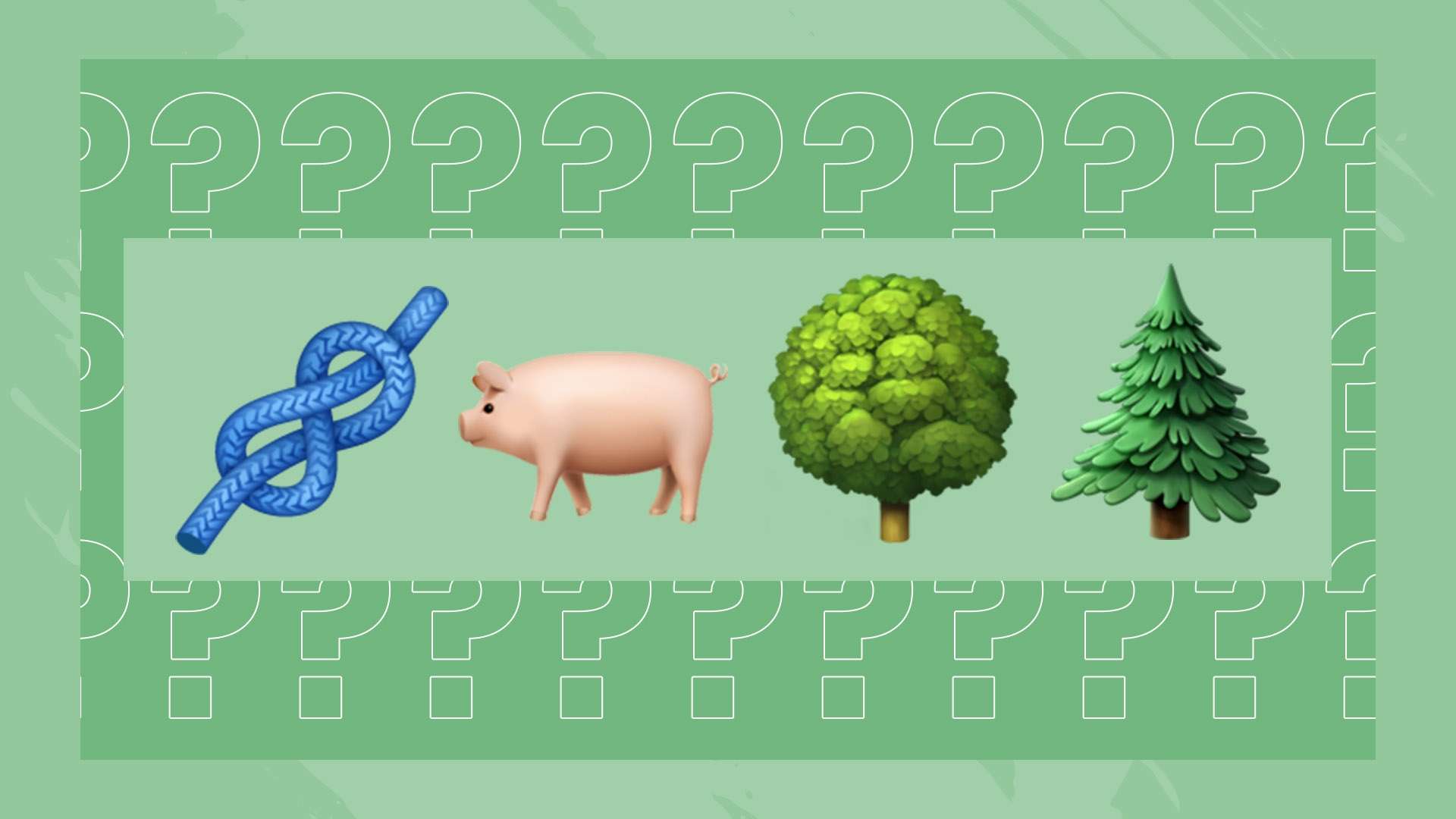 2024年全国举办路跑赛事共671场.