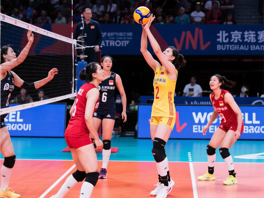 球最多的球 球最多的球